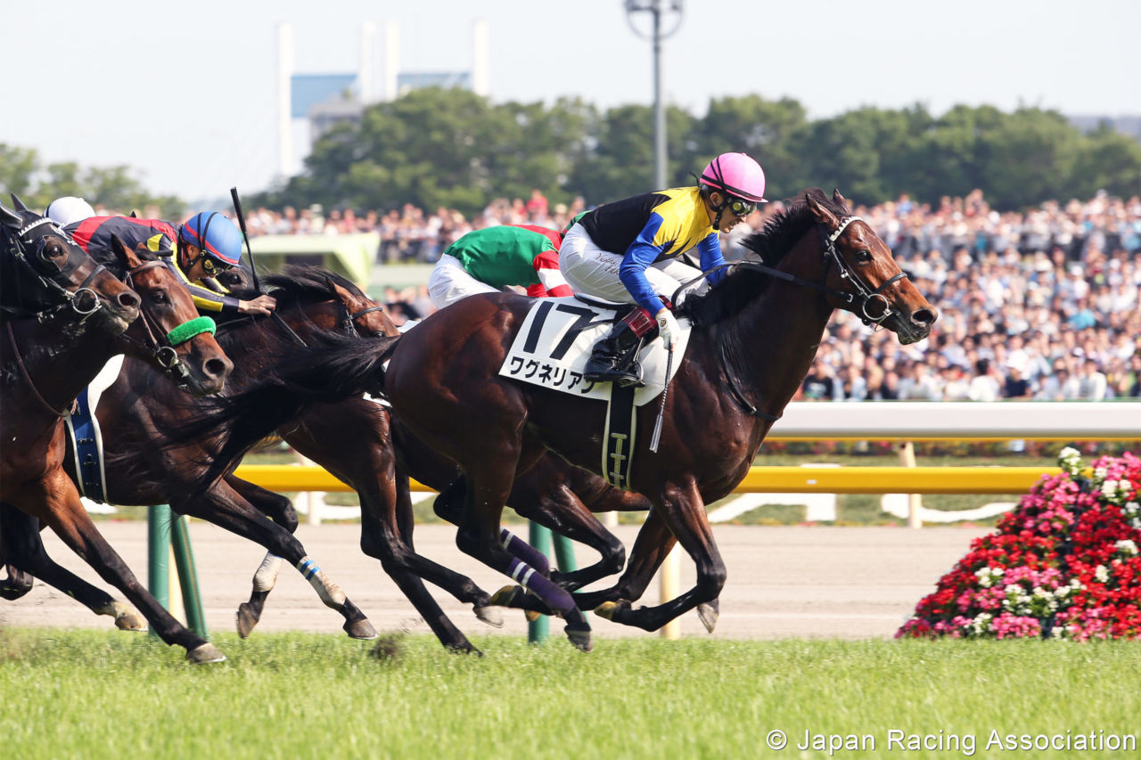 Four by Deep Impact seek poignant victory in 2019 Japan Cup