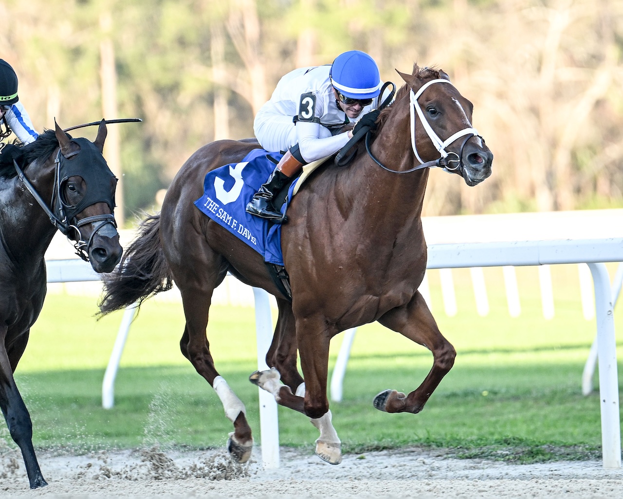 Shahryar reigns over Dubai Sheema Classic | BRISnet.com