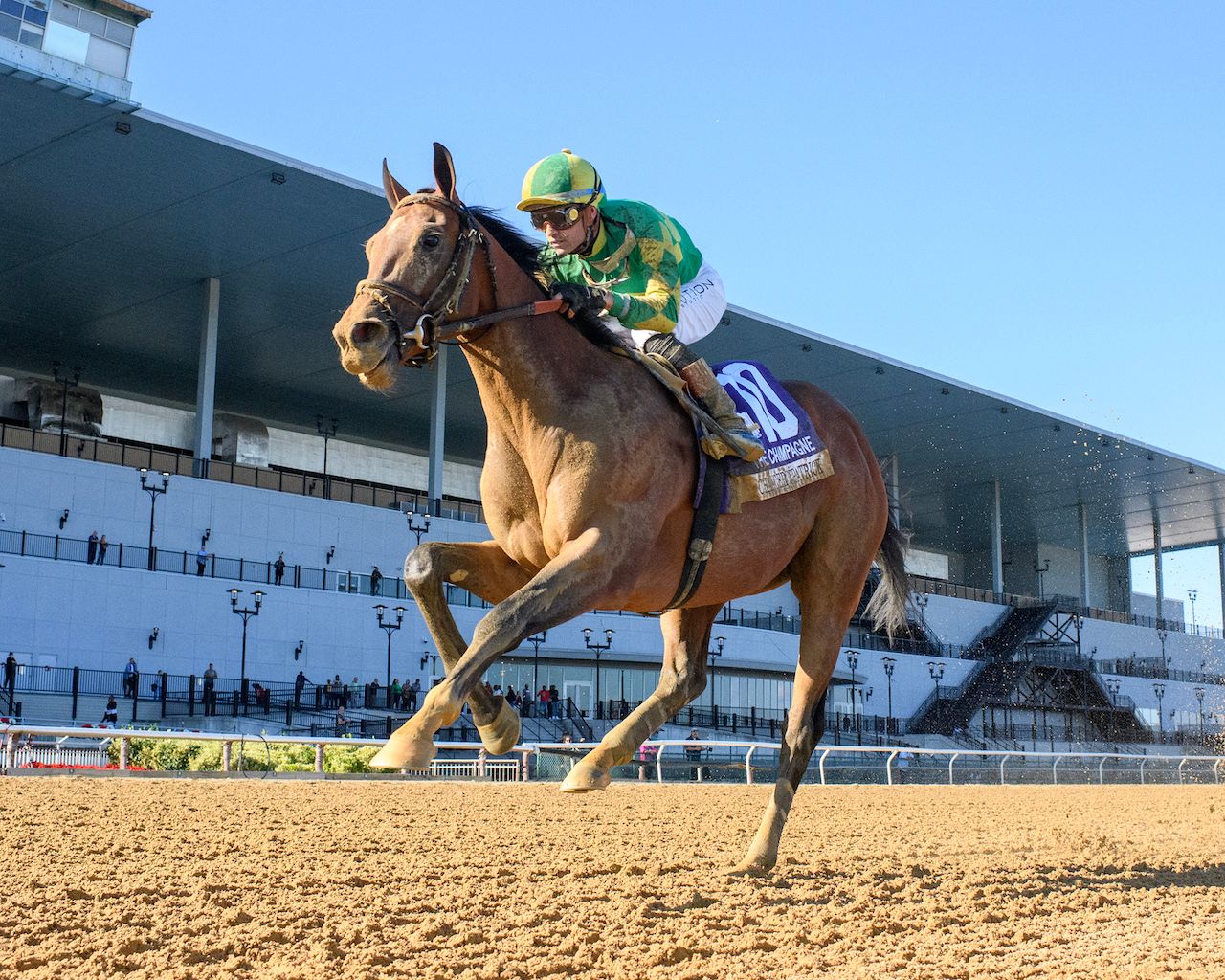 Chancer McPatrick winning the Champagne (G1) at Aqueduct (Photo by Coglianese Photos)