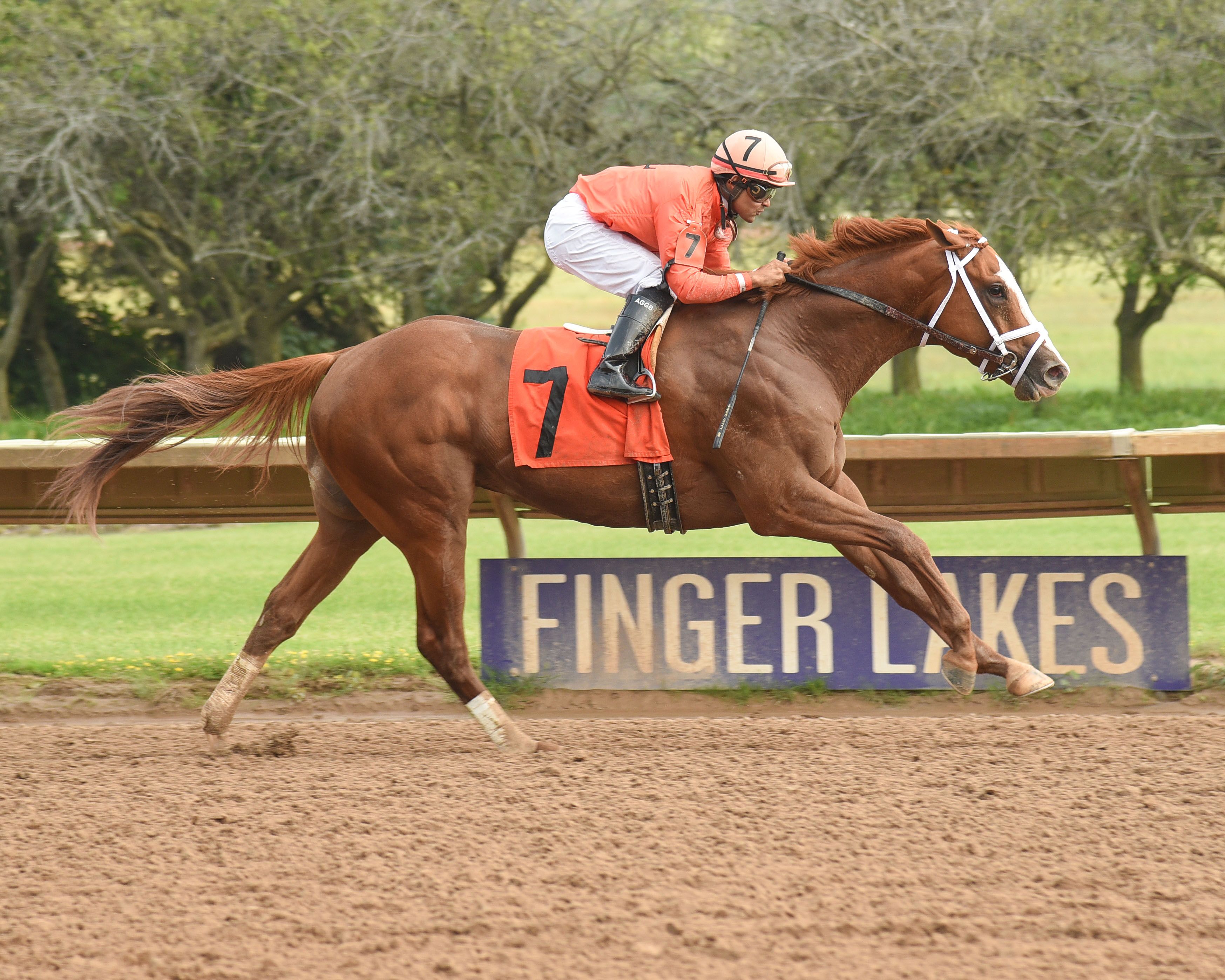 Kentucky Derby Profile: Can Carpe Diem Seize the First Satur