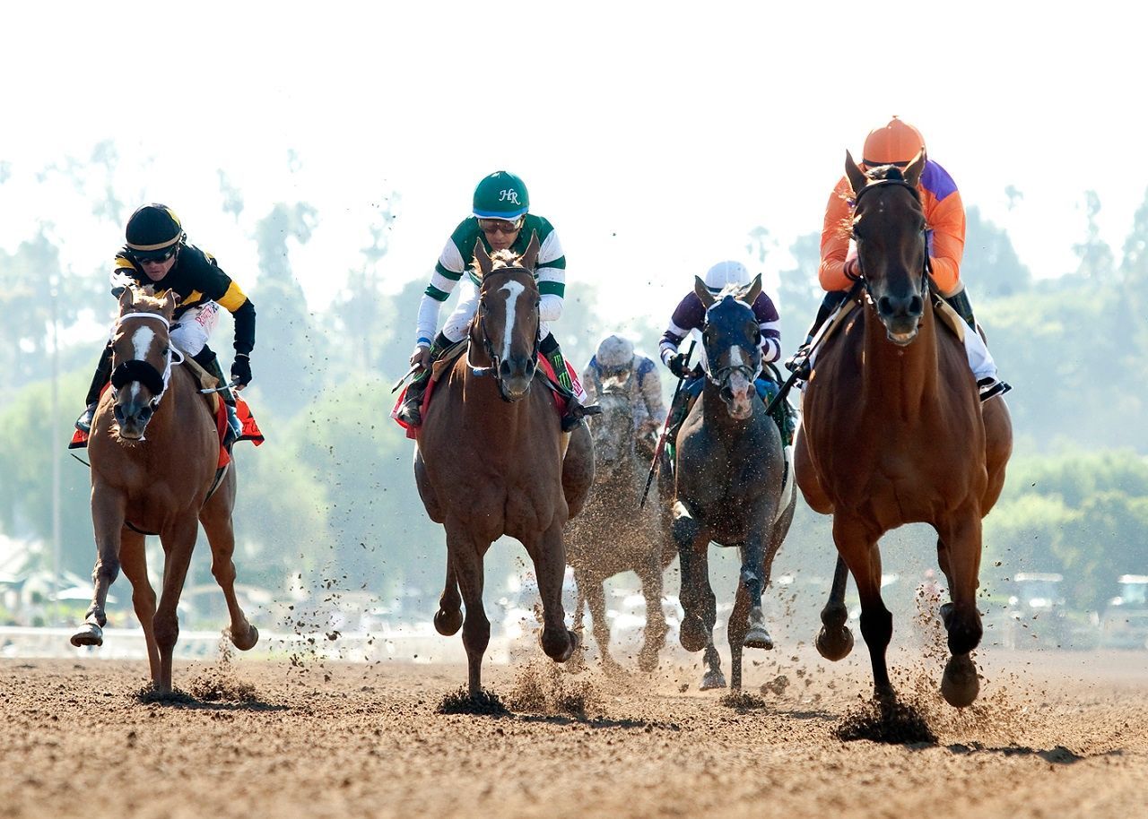 Winning Thoroughbred Strategies: Mitchell, Dick