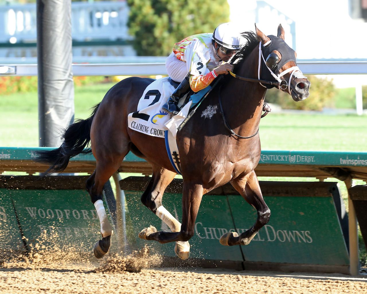 Build a Horse Race Handicapping Algorithm That Wins in 2025 » The Free PPs