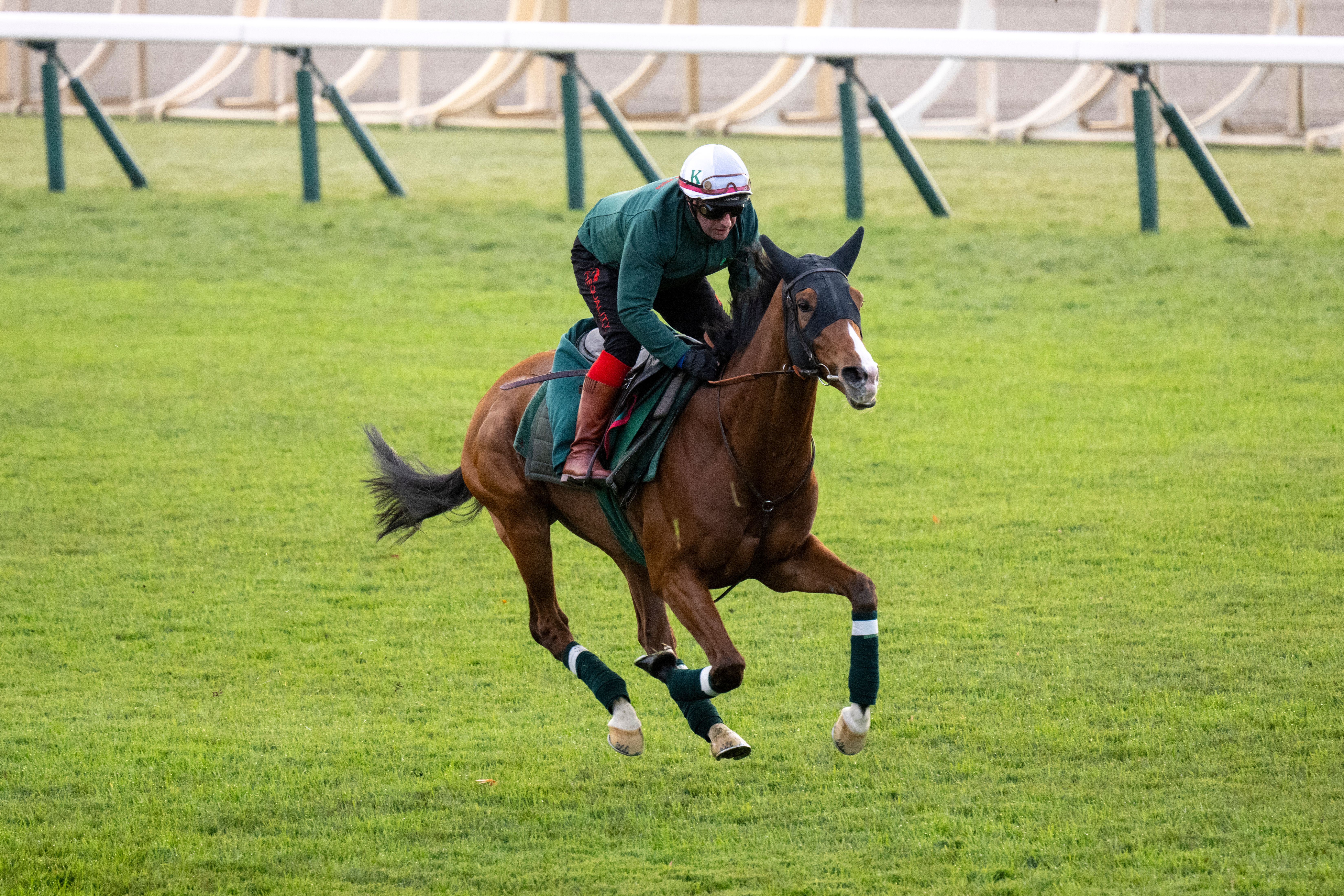 International spotlight: 2025 Japan Cup | TwinSpires
