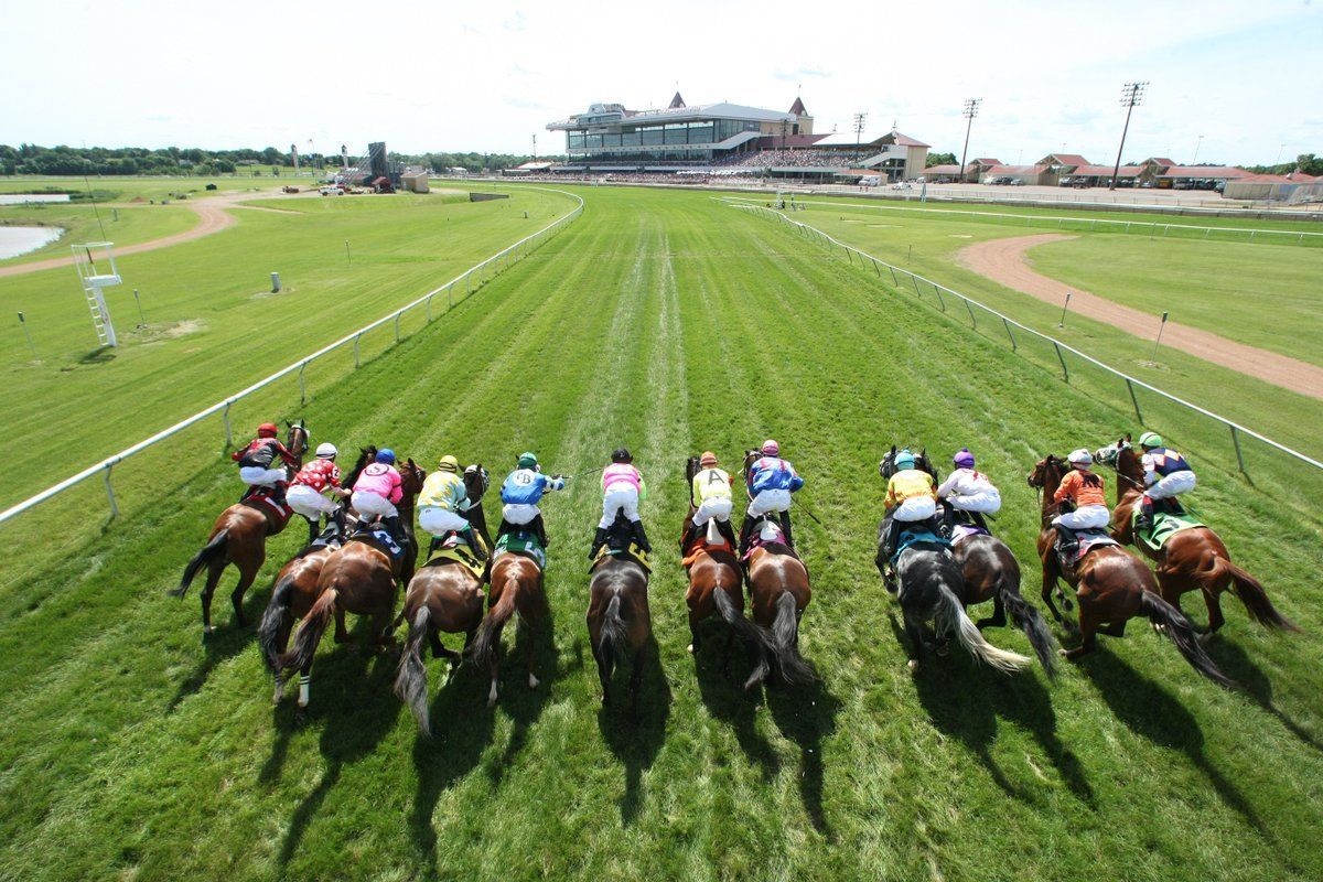 The Science of Horse Racing: Hooves and Horseshoes | TwinSpires