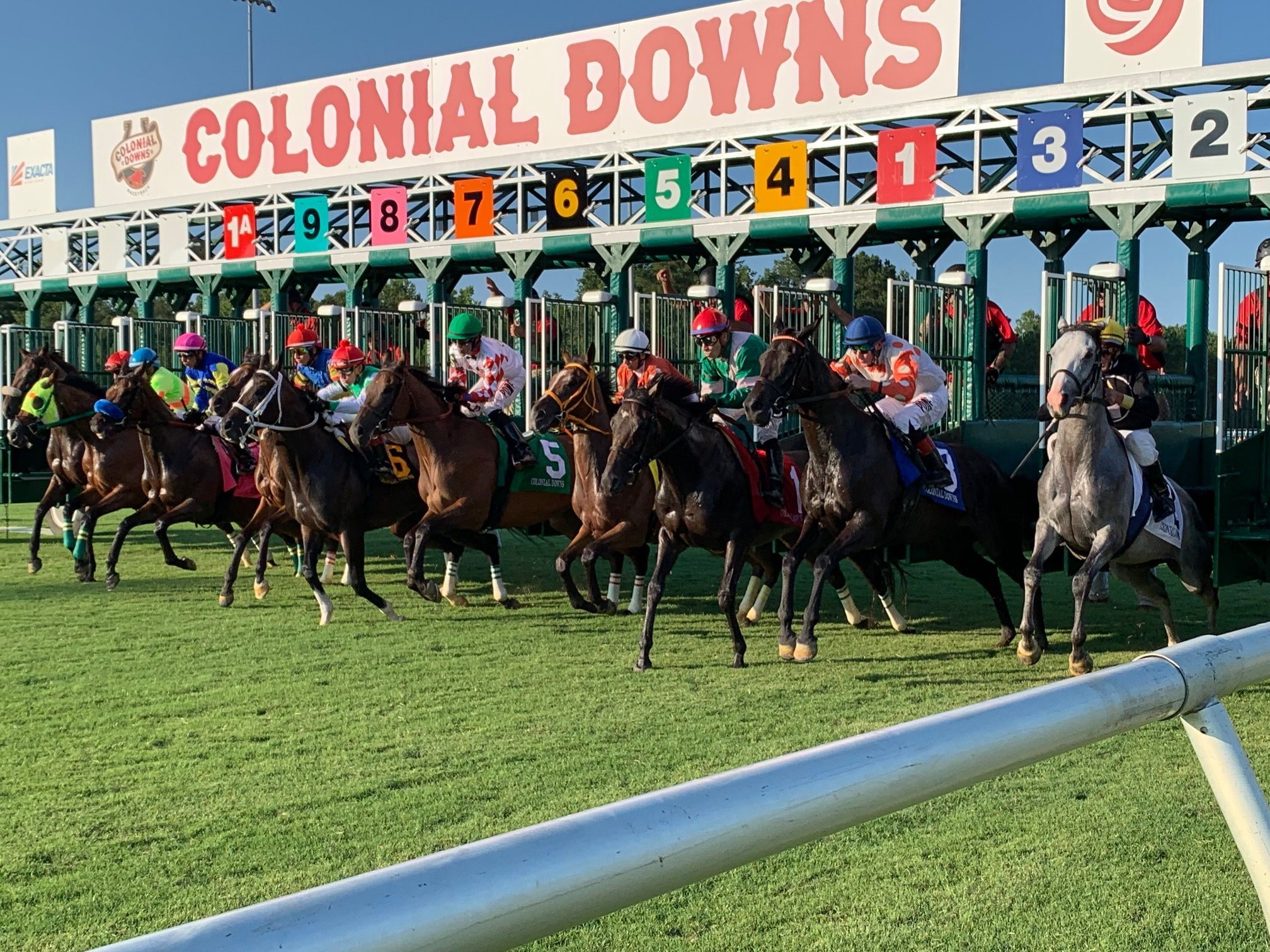Winning Thoroughbred Strategies: Mitchell, Dick