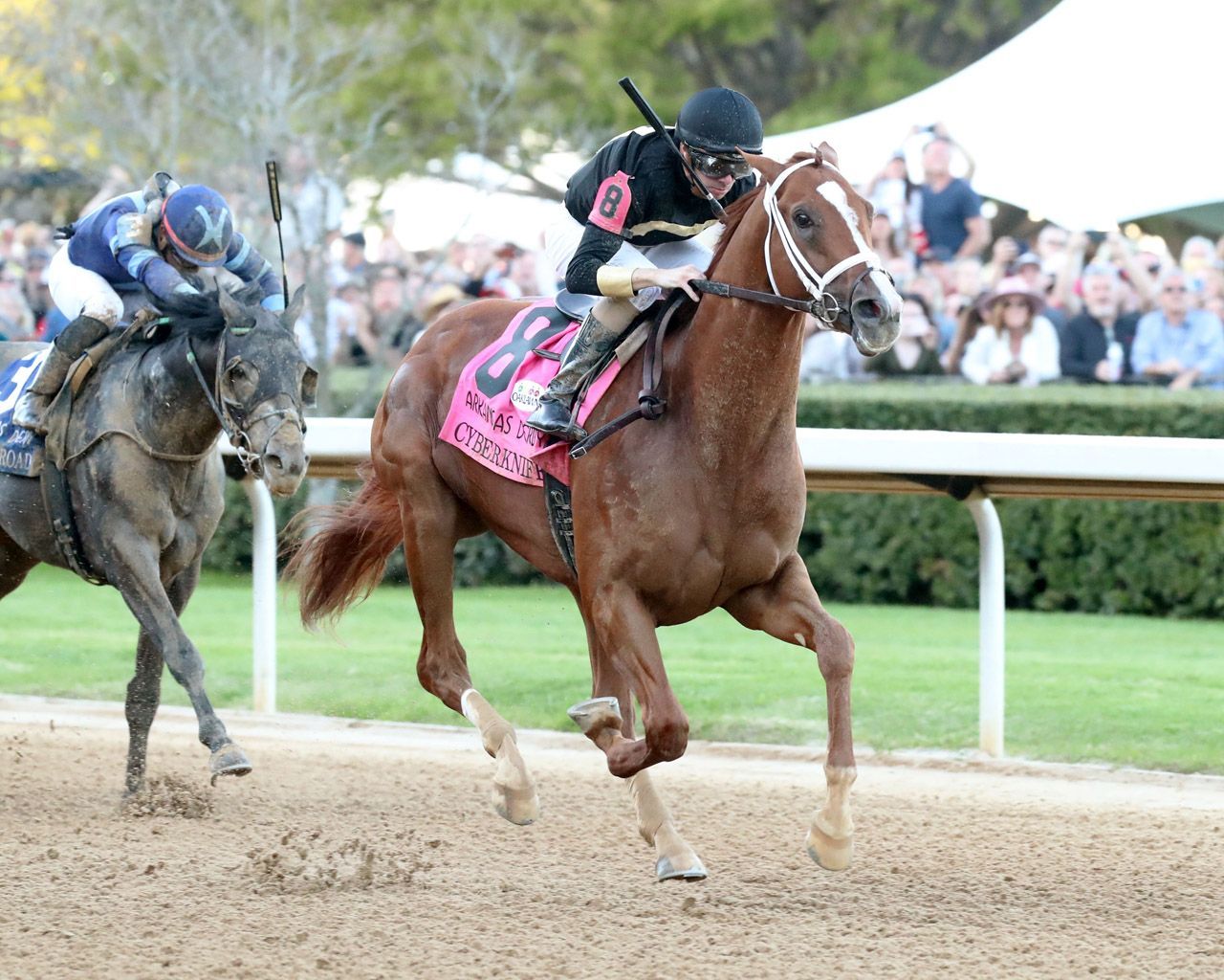 Kentucky Derby pedigree profile: Cyberknife | TwinSpires