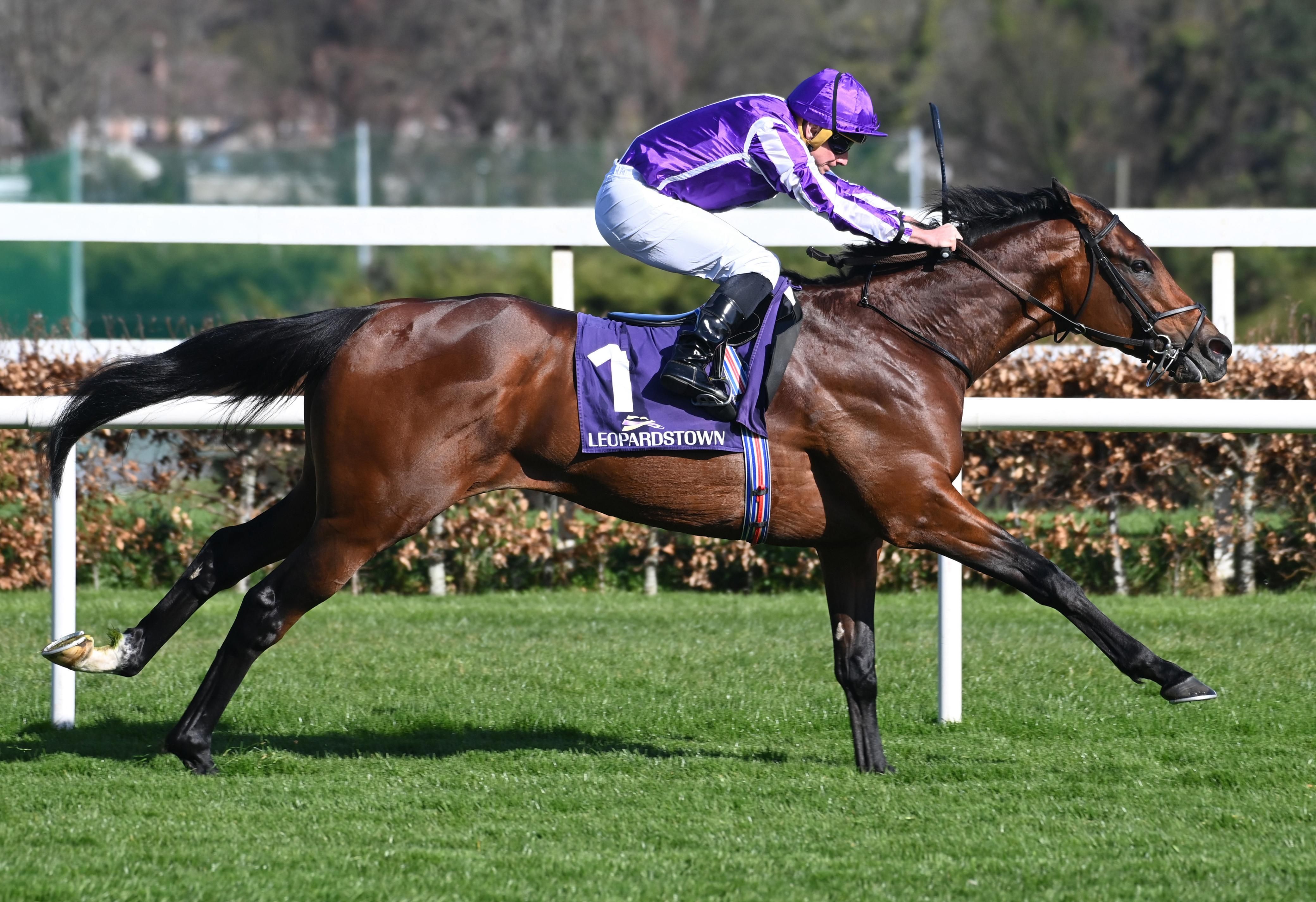 Is Delacroix vulnerable in the Irish Champion? | TwinSpires