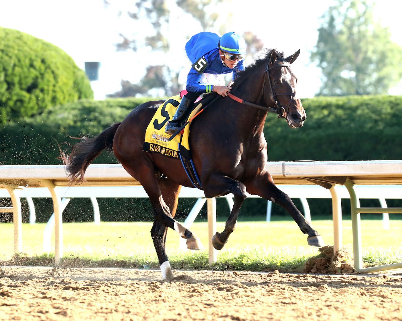 East Avenue winning the Breeders' Futurity (G1) at Keeneland (Photo by Coady Media)