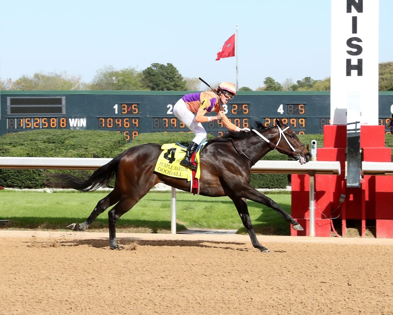 Tipsheet: 2026 Victory Ride Stakes | TwinSpires