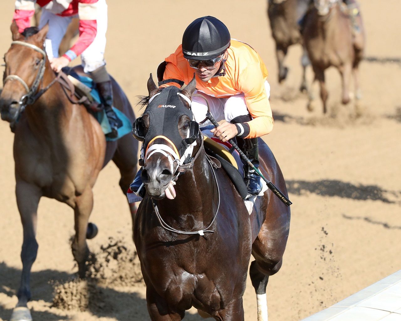 〈FEILER〉 UNITED ARROWS 別注 SPRINT HORSE FEILER〉 UNITED ARROWS 別注 SPRINT HORSE FEILER〉 UNITED