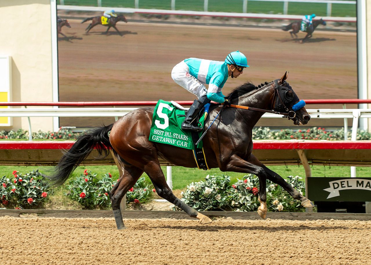 競馬Carrot Club Yearlings 2025 Carrot Club] 2025 Review Part 2! Looking at this year's leading