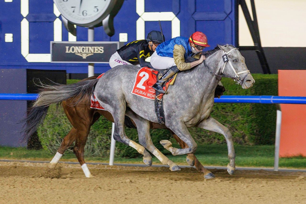 Hit Show - Horse Profiles: Pedigree, Stats, Results & Past
