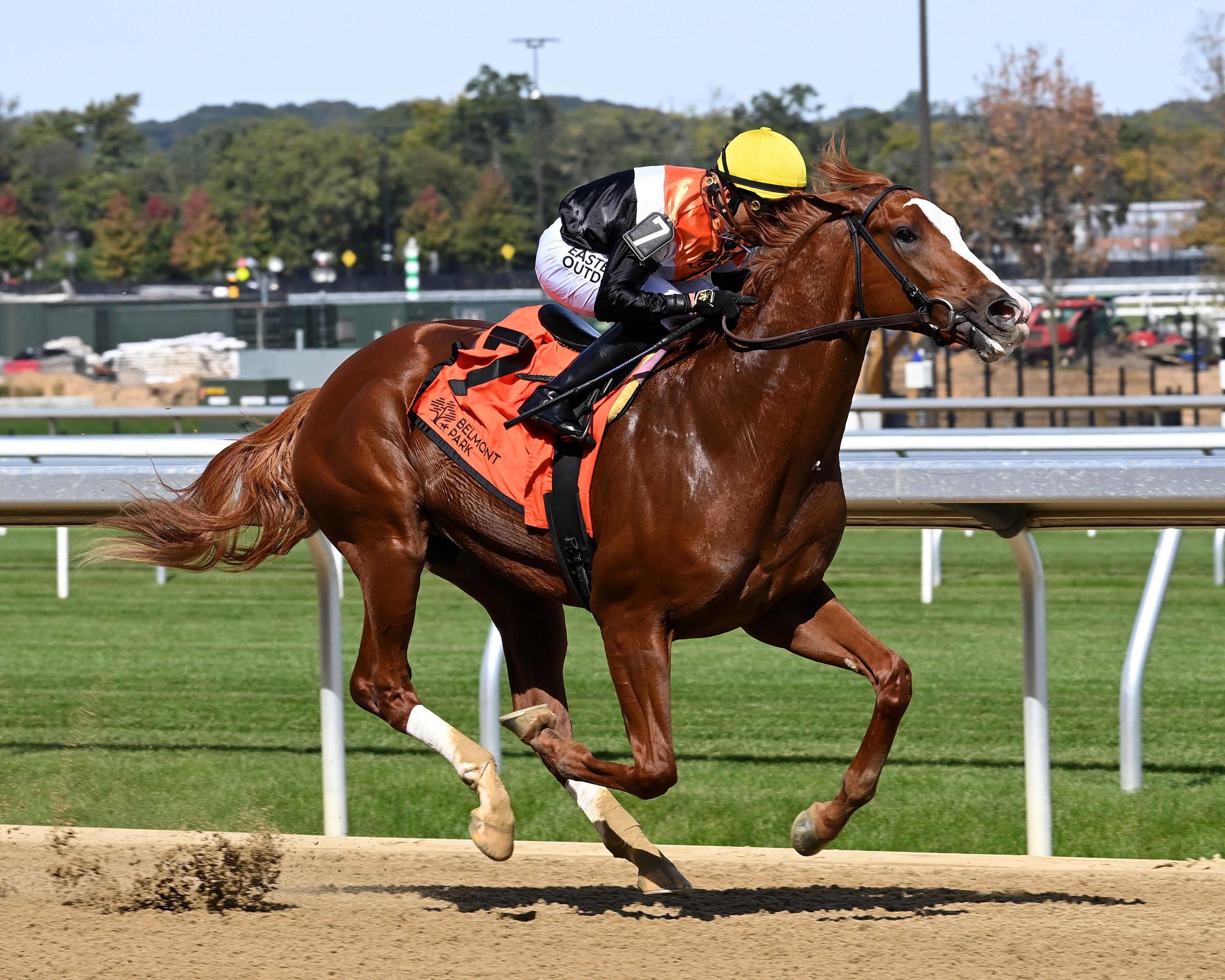 Mystik Dan and history's closest Kentucky Derby finishes | TwinSpires