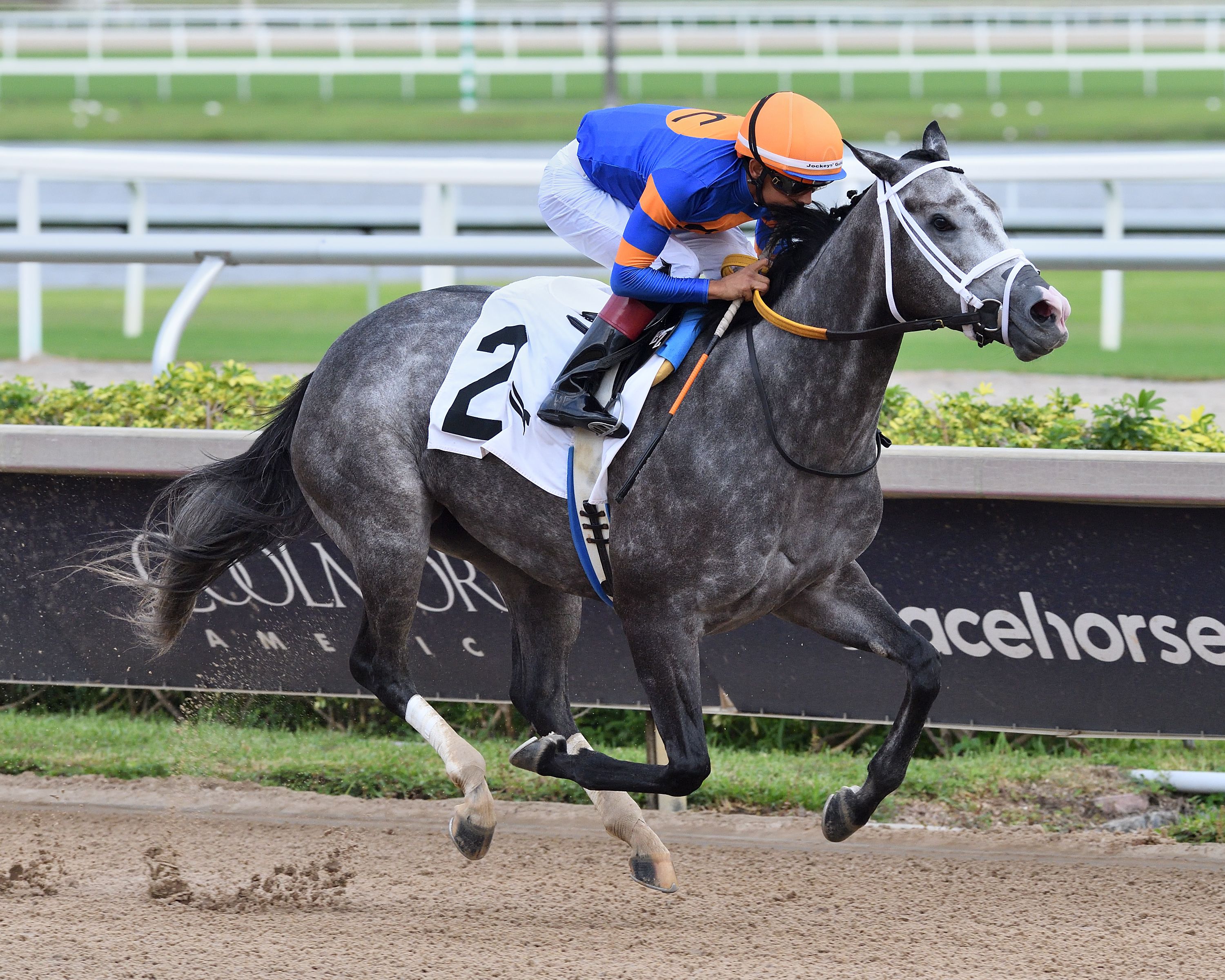 Haulin_Ice_Princess_Rooney_202