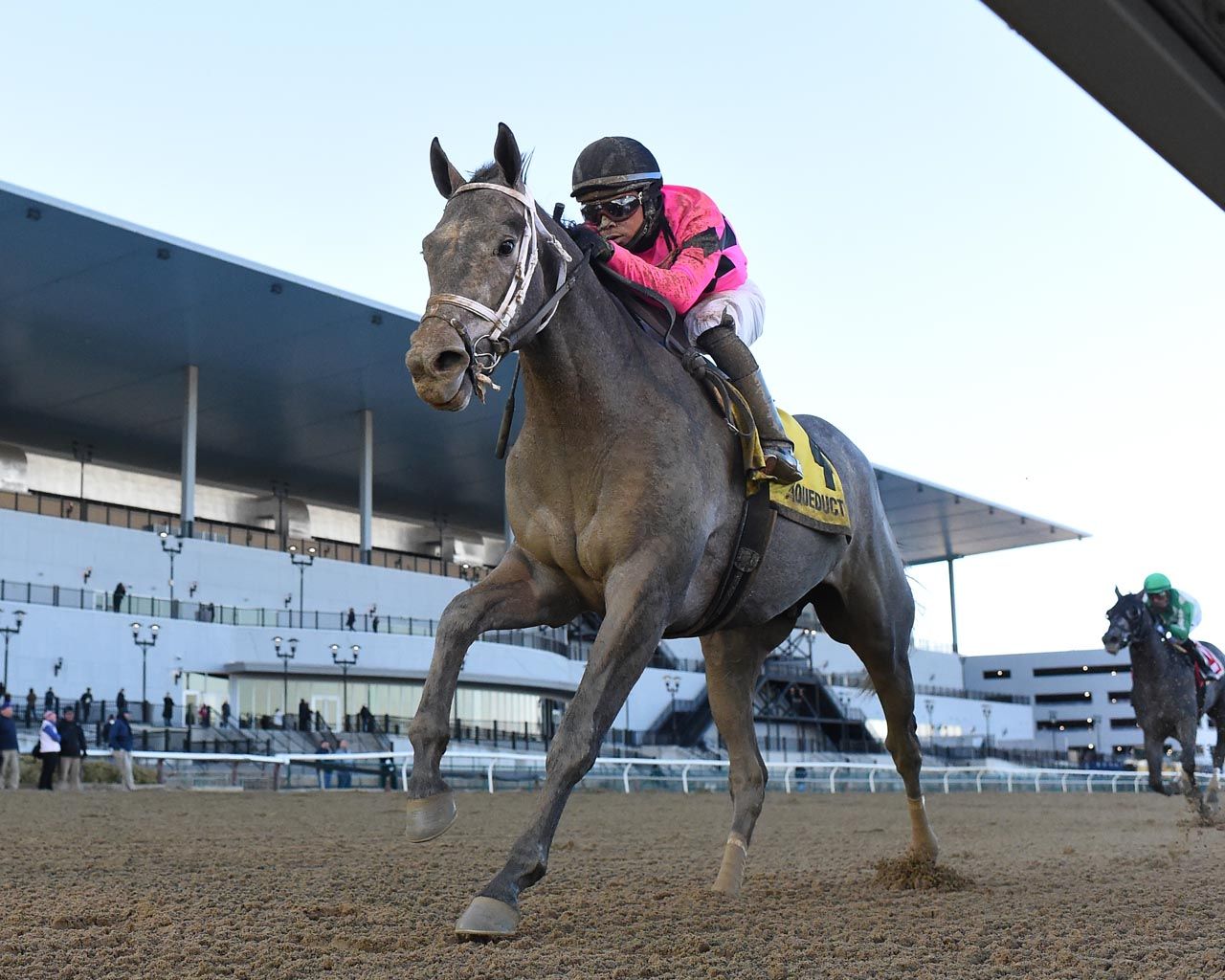 Betting With, and Against, Hit Show in the 2025 Clark Stakes