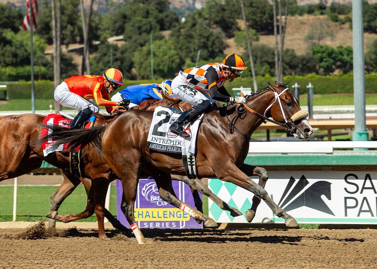 Meet the Contenders: 2026 Robert B. Lewis Stakes | TwinSpires