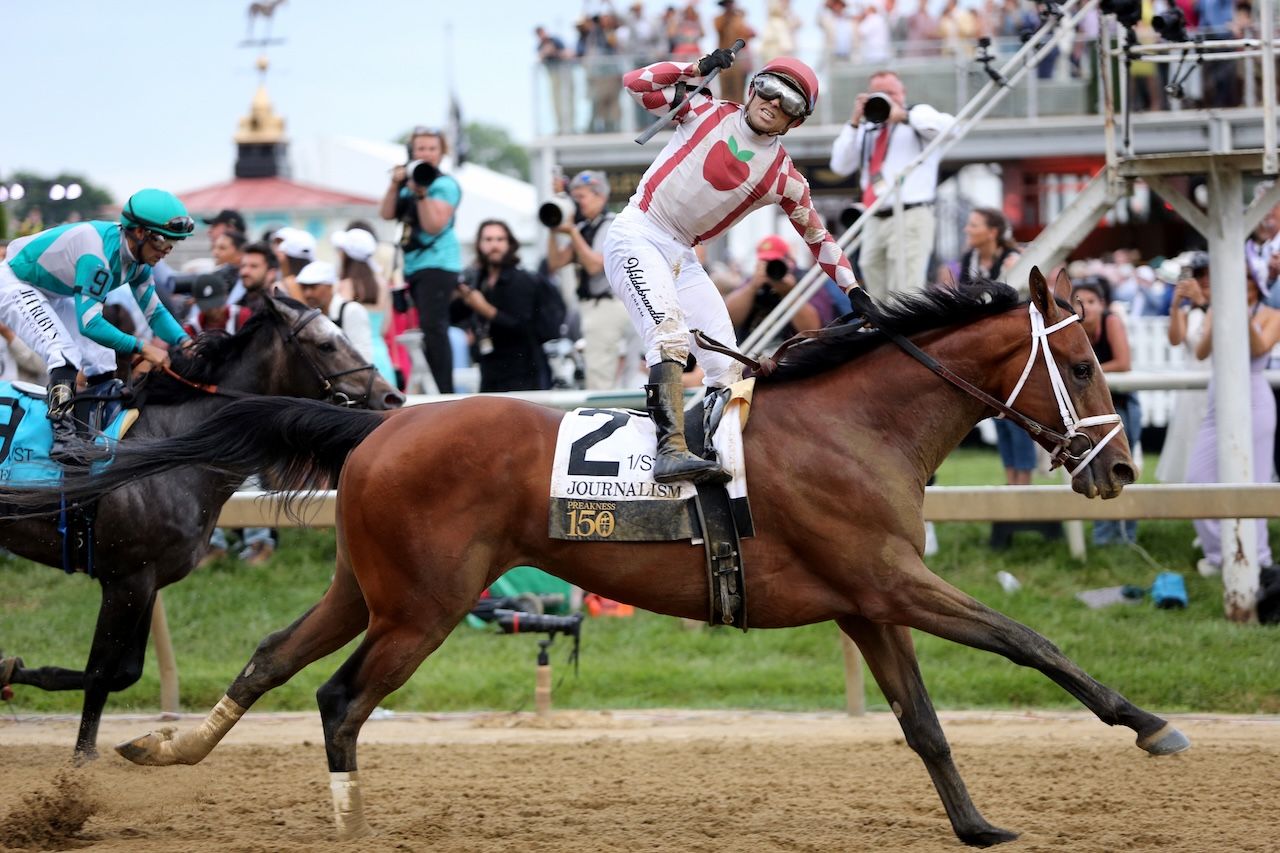 LIVE Preakness odds, picks, best bets, horse racing news