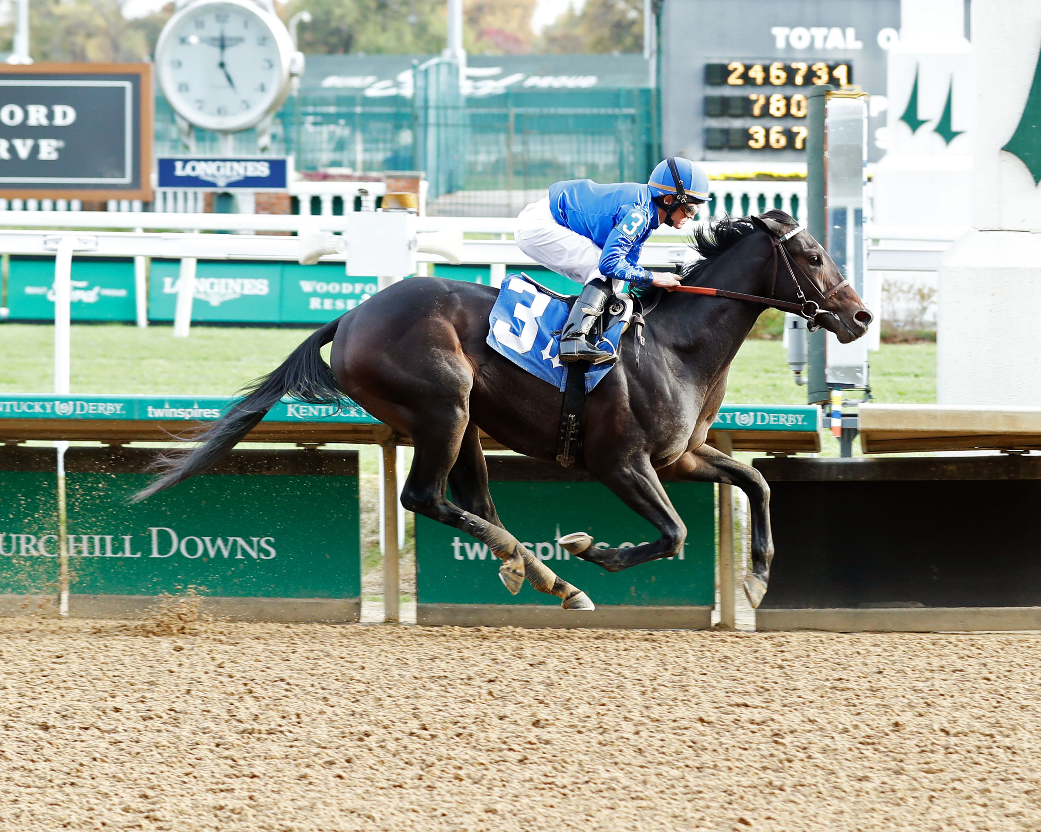 Kentucky Derby Maiden Watch: Knightsbridge catches the eye | TwinSpires