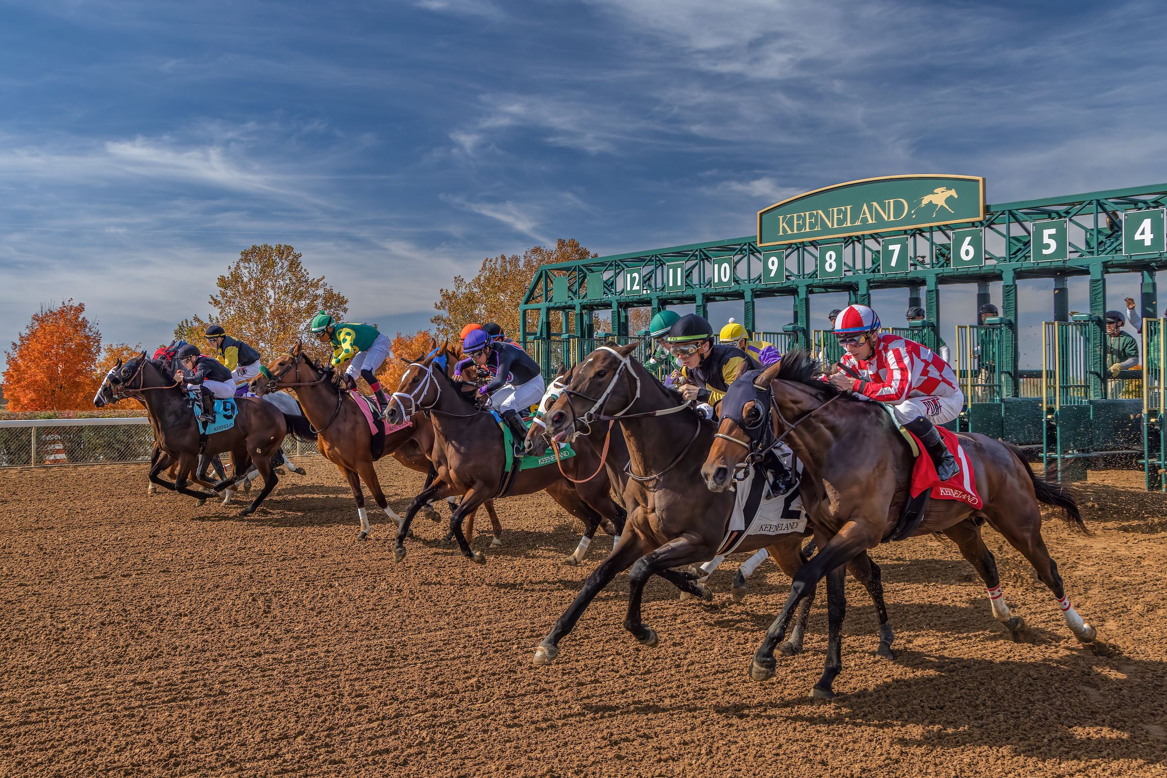 Horse Racing Best Bets for Thursday 9/14/23