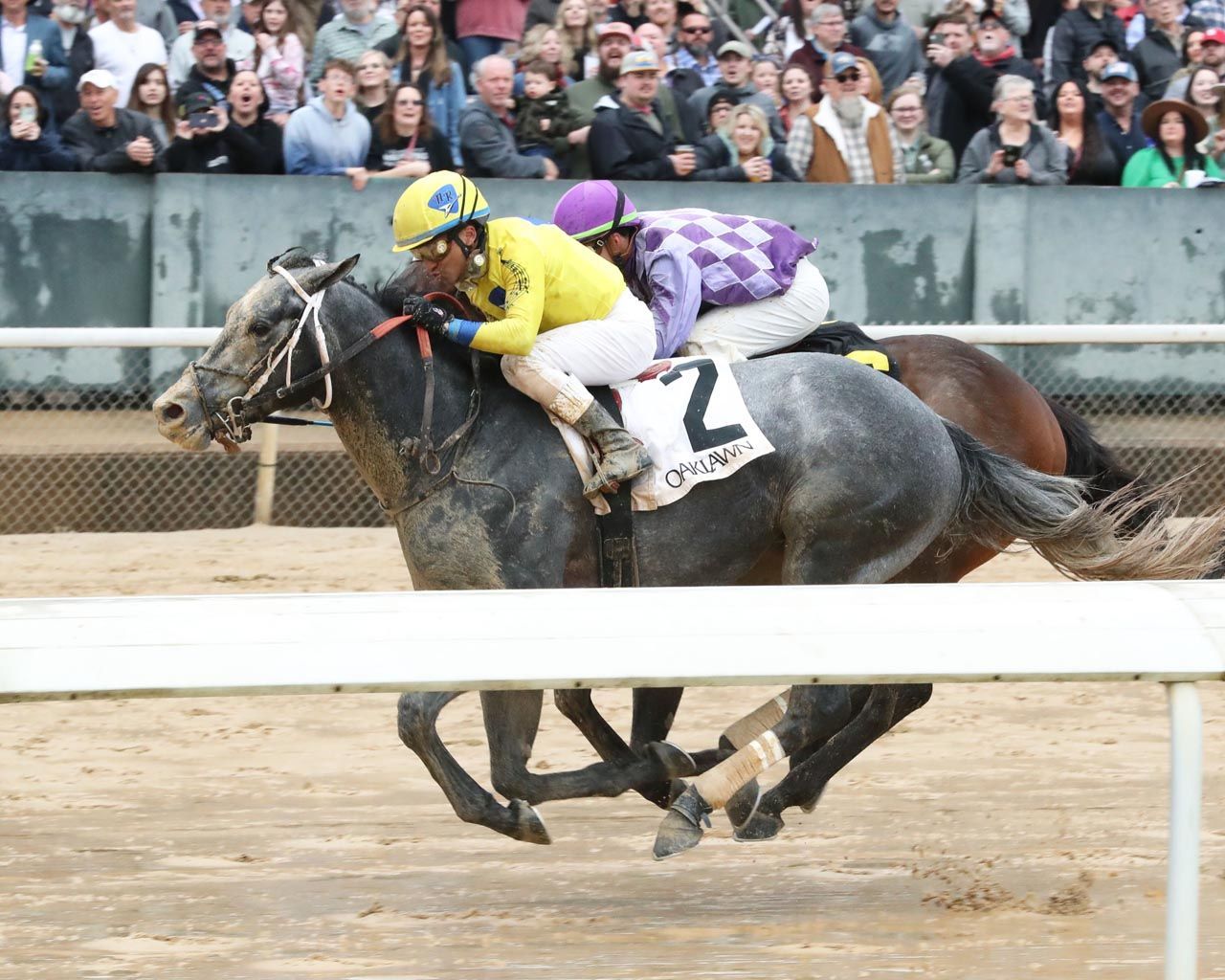 Kentucky Derby pedigree profile: Honor Marie