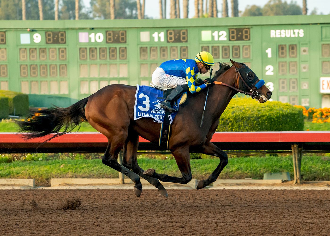 Meet the Contenders: 2026 Southwest Stakes | TwinSpires