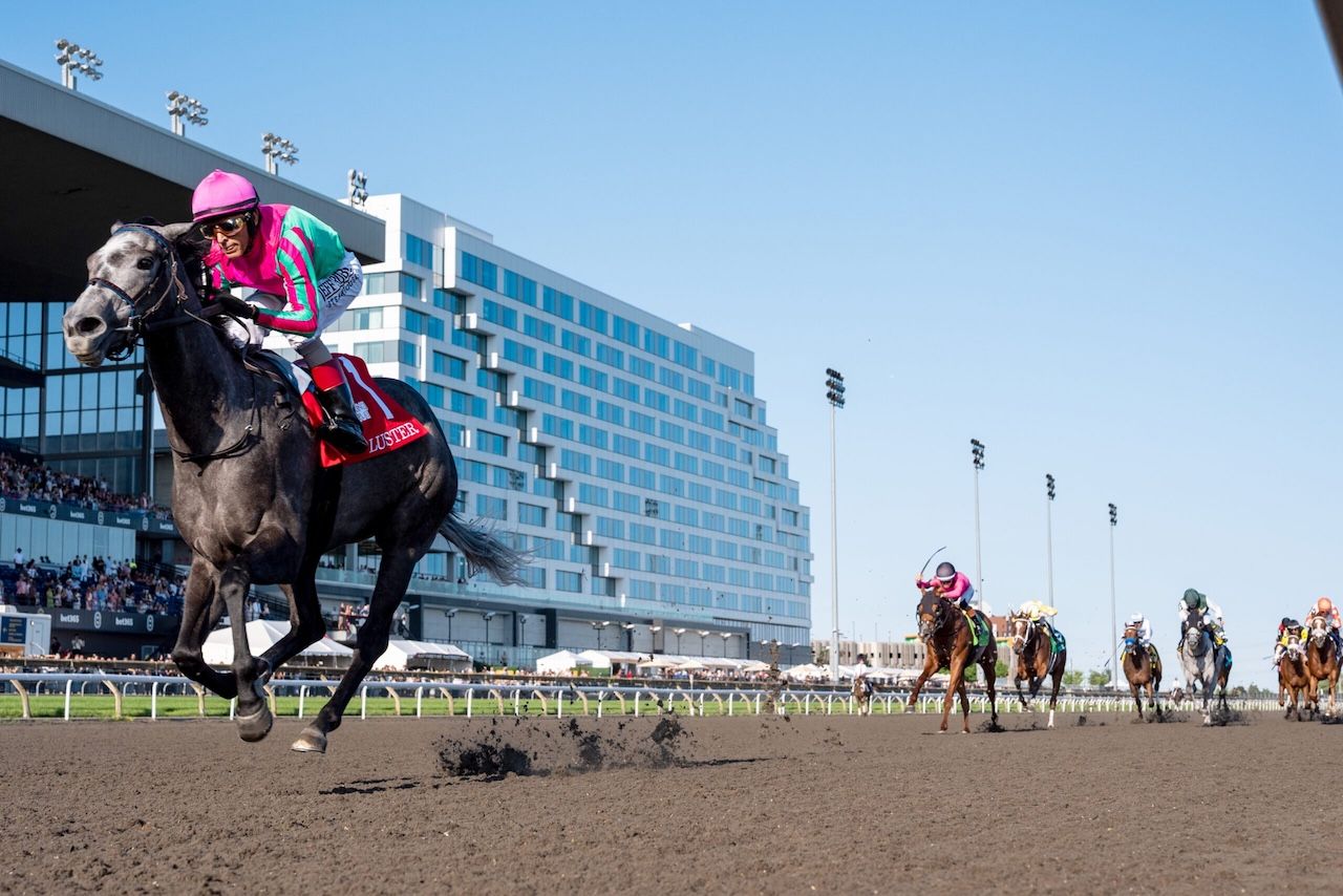 Horse racing Results: Woodbine and Saratoga, August 15 | TwinSpires