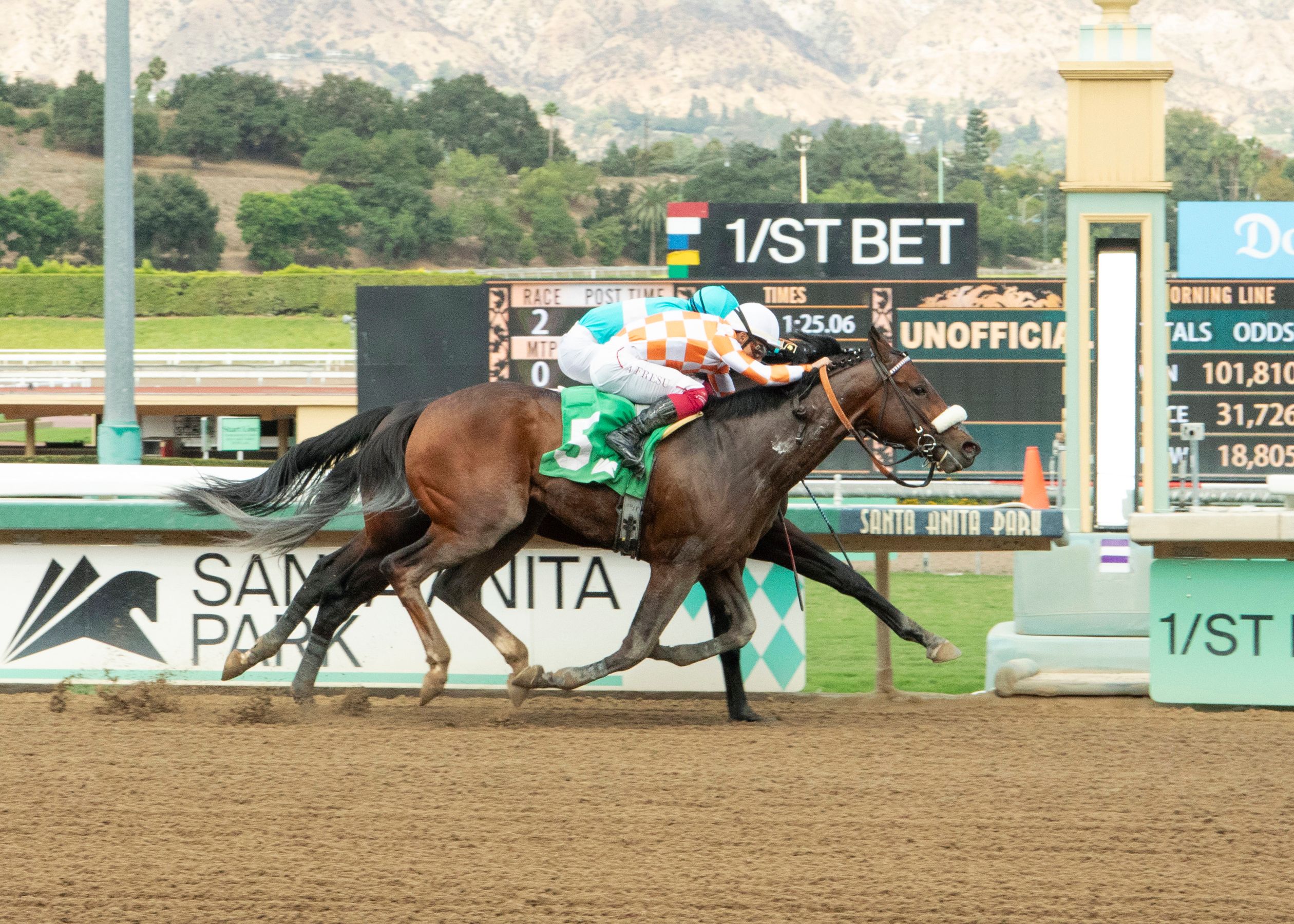 Mr. A. P. (Photo by Benoit Photography)