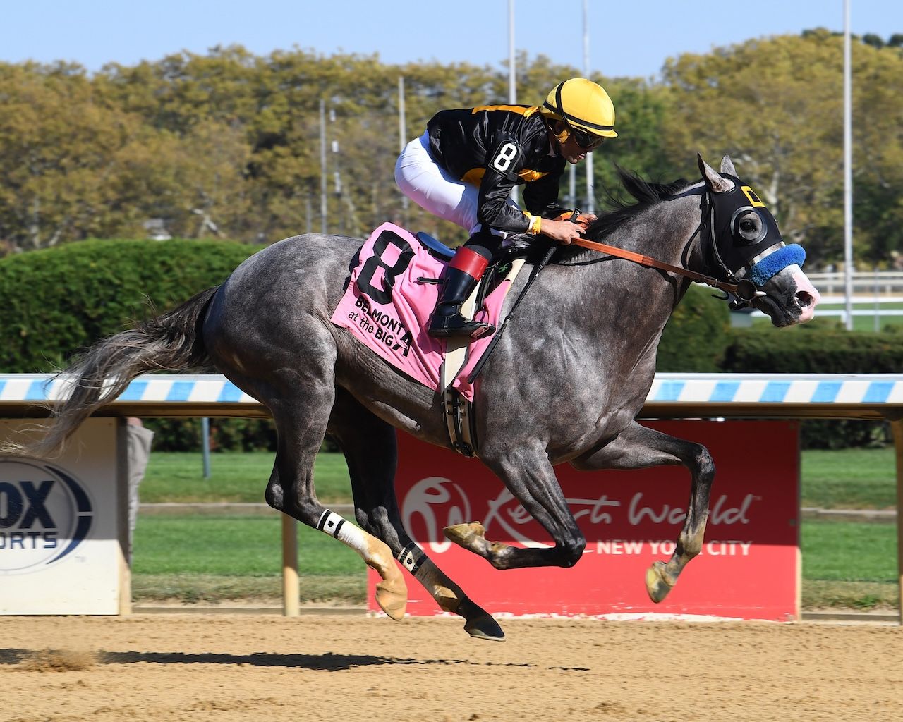 The $2 Win-Place Format & Contest Selection | TwinSpires
