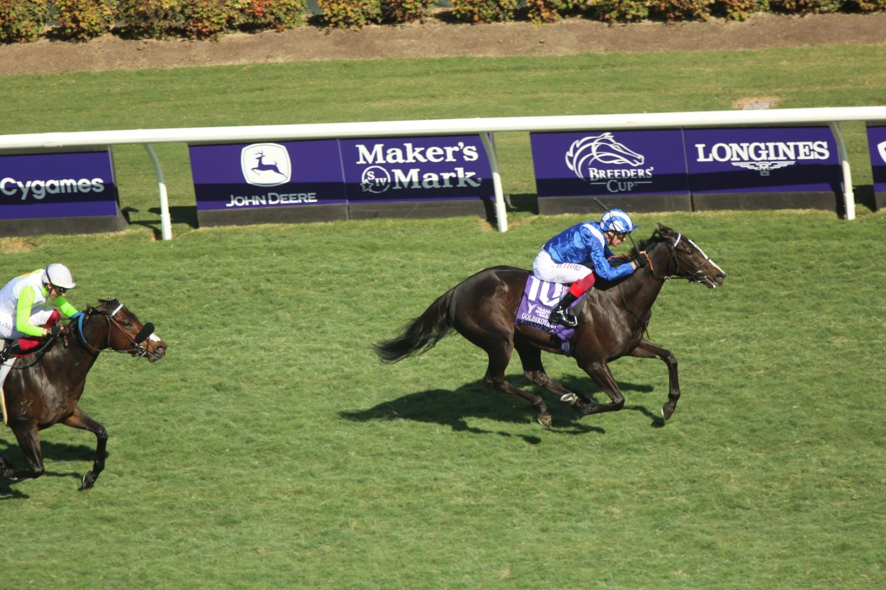 Hanson: Betting the Pegasus World Cup Late Pick 5 | TwinSpires Hanson: Betting the Pegasus World Cup Late Pick 5 | TwinSpires