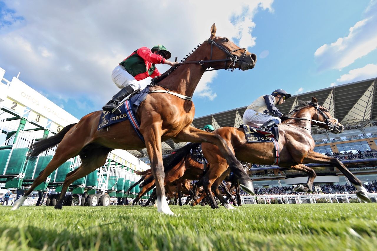 Free Past Performances: Kentucky Derby Leaders 2022 Printabl | TwinSpires for 2025 Kentucky Derby Free Past Performances Printable