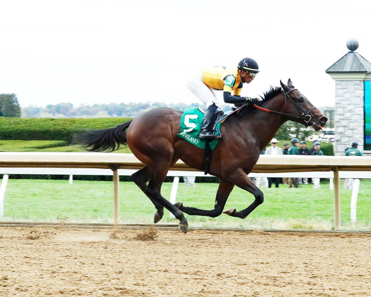 Meet the Contenders: Kentucky Jockey Club