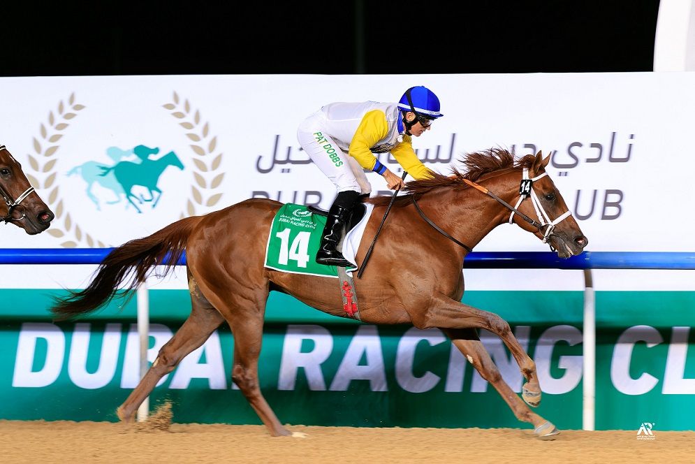 6 Horses Die In January in Dubai Endurance Races