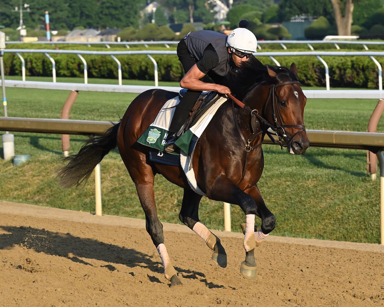 The Science of Horse Racing: Hooves and Horseshoes | TwinSpires