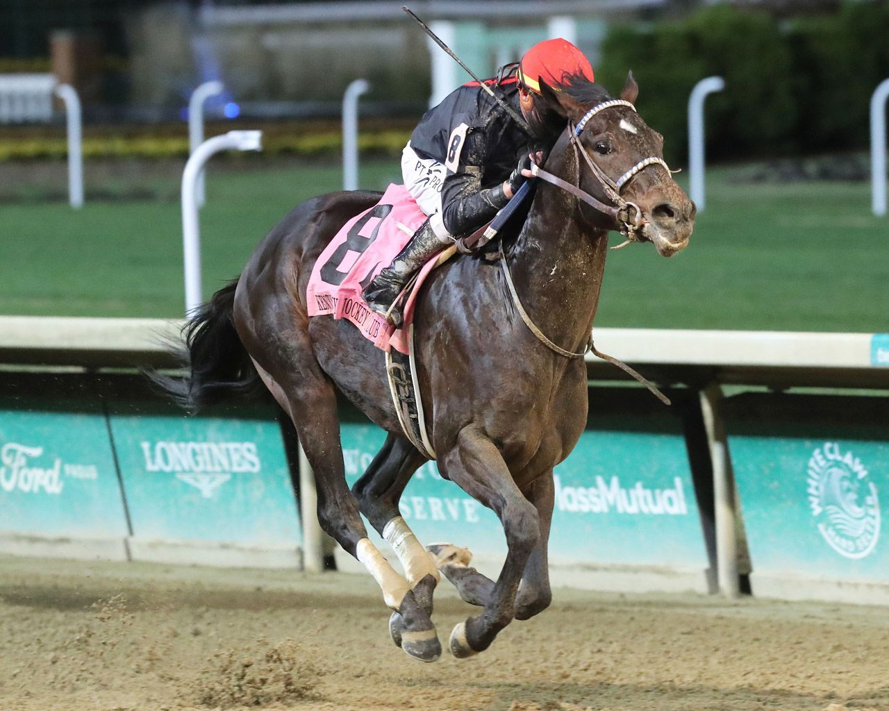 【smile happy】 Kentucky Derby pedigree profile: Smile Happy | TwinSpires