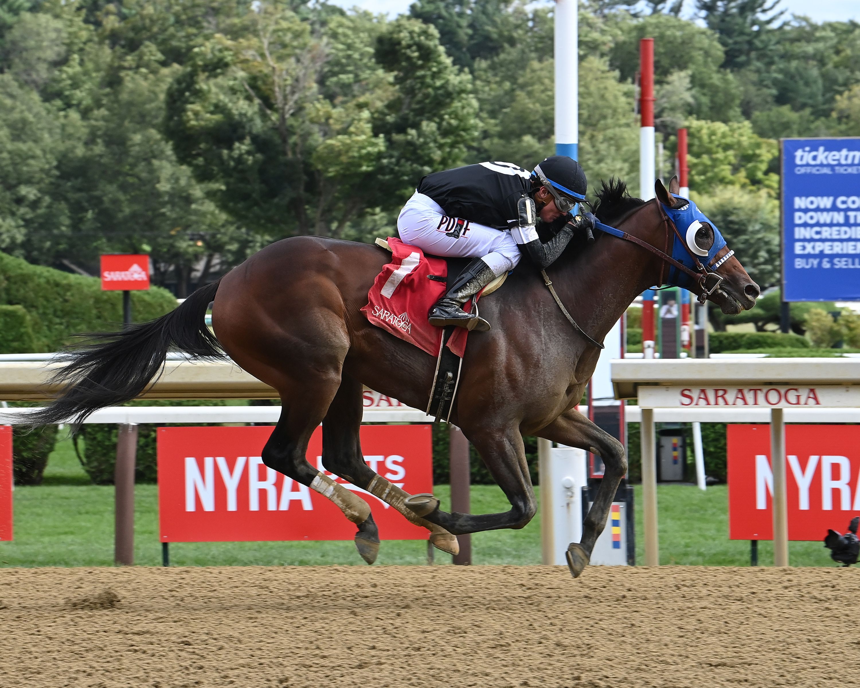 Universe wins at Saratoga.
