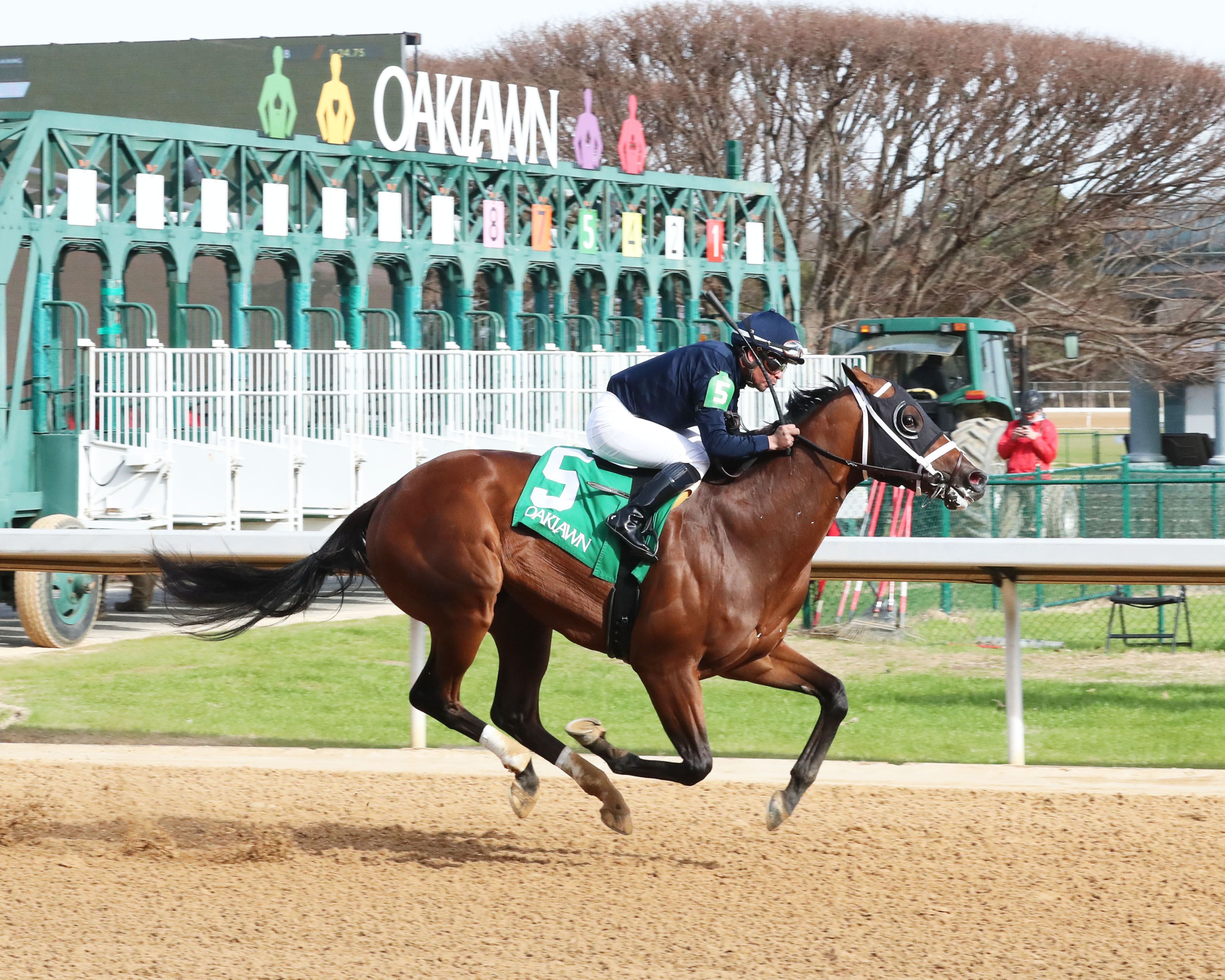 Kentucky Derby pedigree profile: Honor Marie