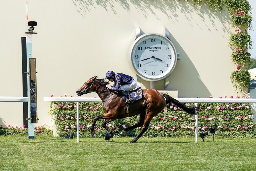 Longines horse hot sale racing