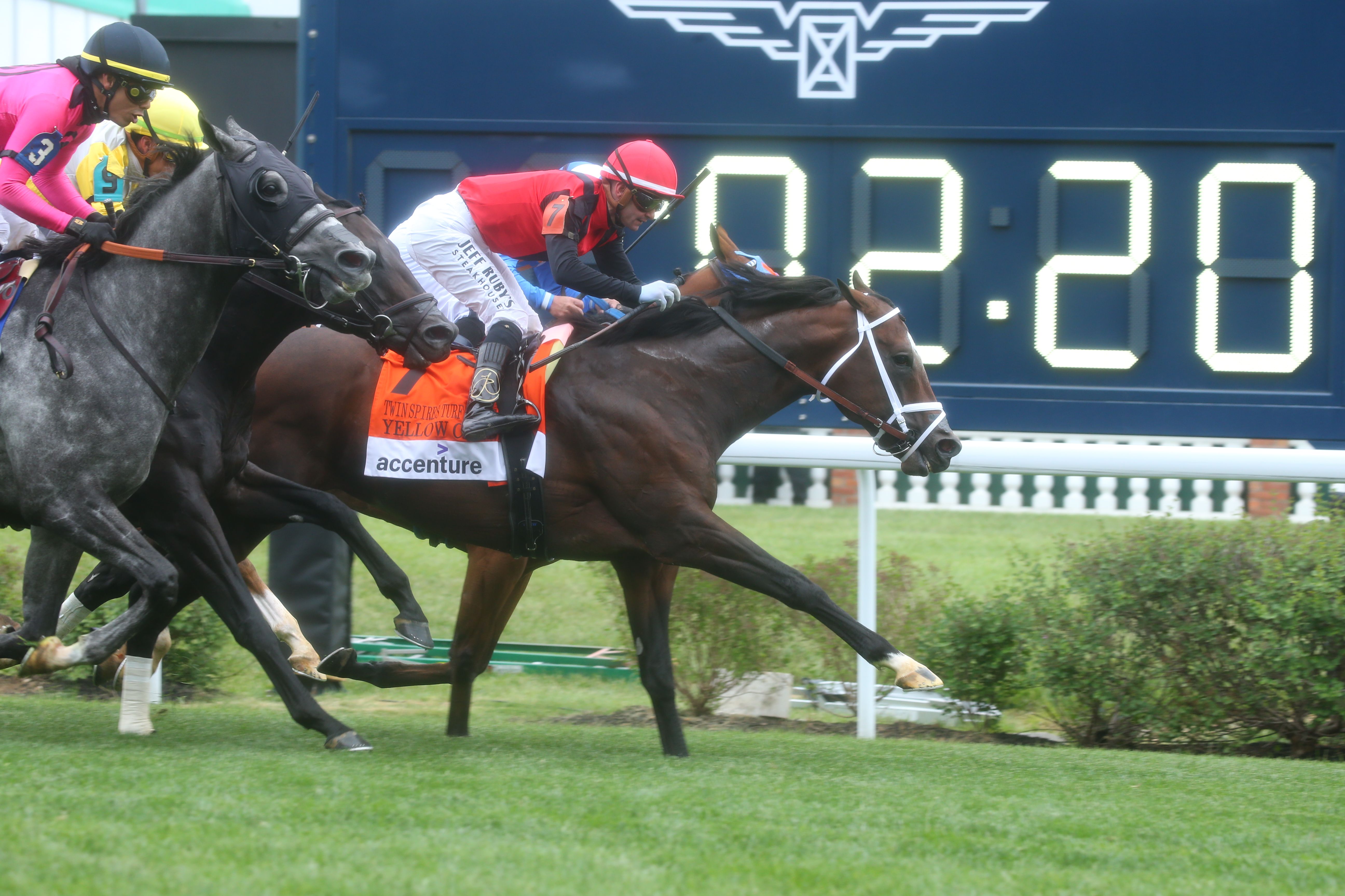 Yellow Card scores winning goal in Twin Spires Turf Sprint