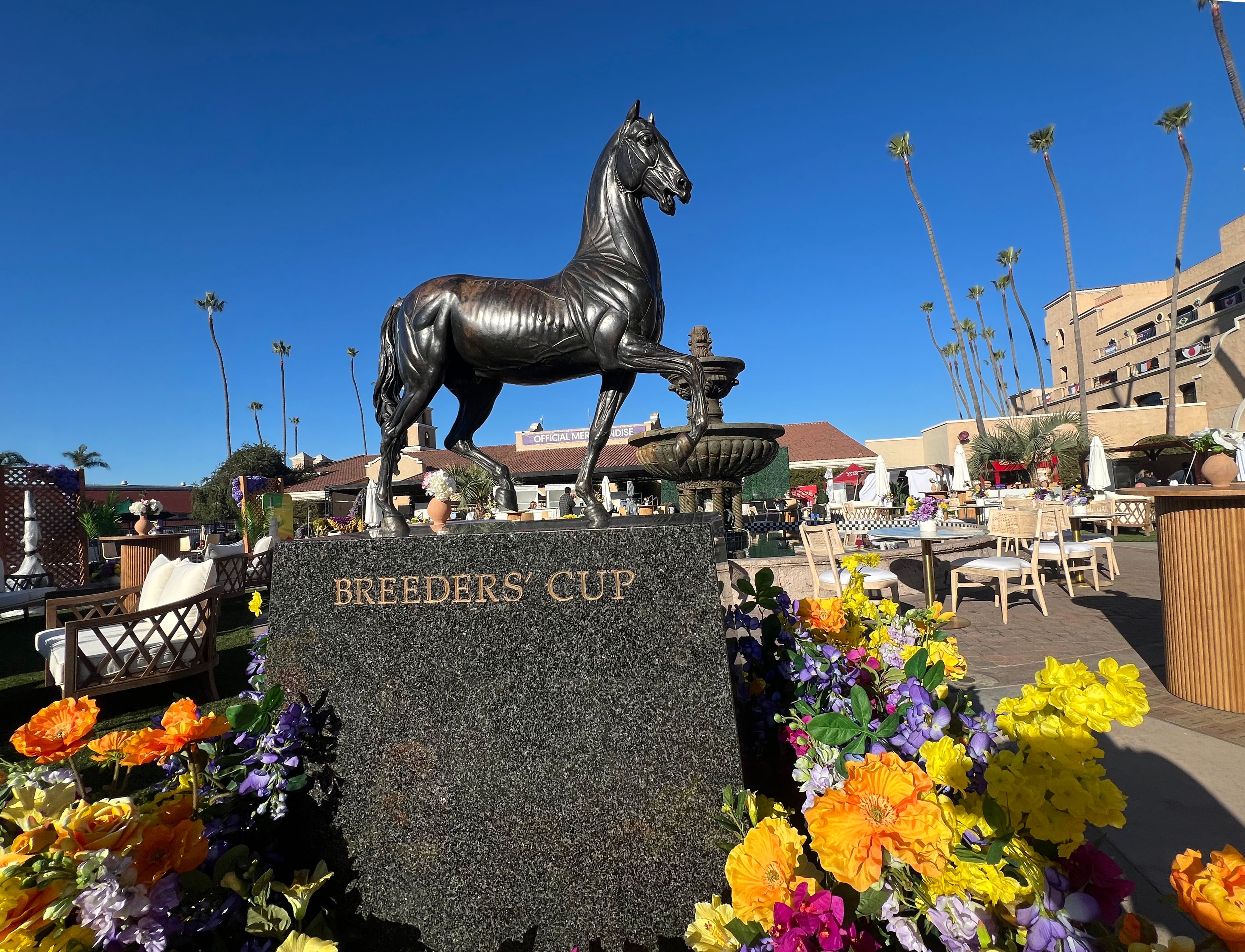 2024 Breeders' Cup Picks Predictions and Odds for All Horses