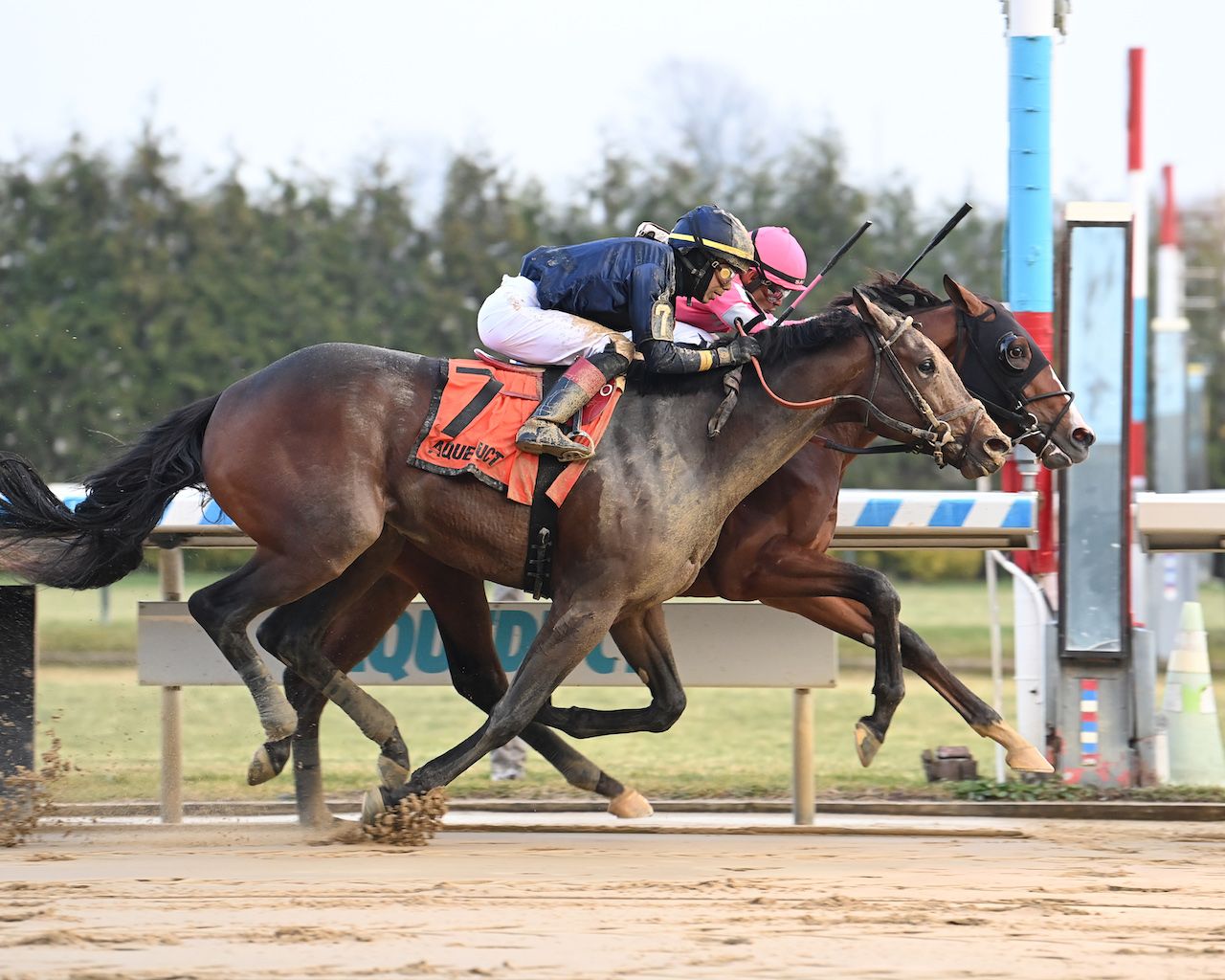 Kentucky Derby pedigree profile: Honor Marie