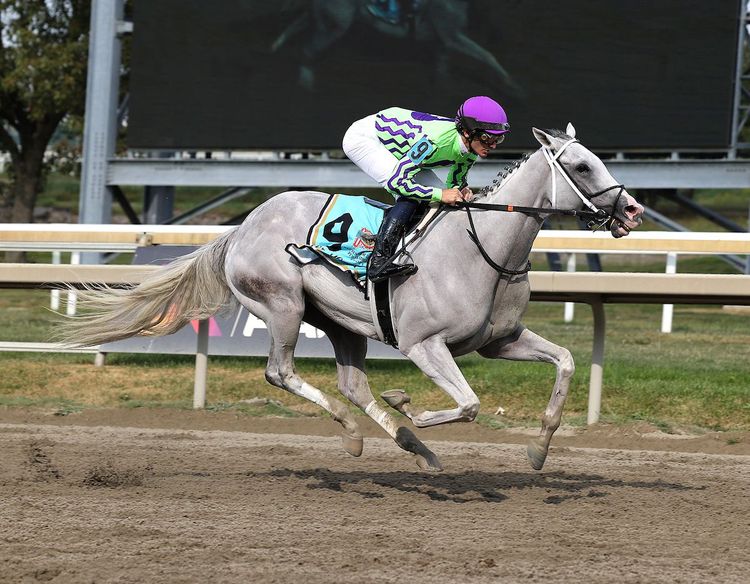 Meet the Contenders: 2024 Breeders Cup Classic | TwinSpires