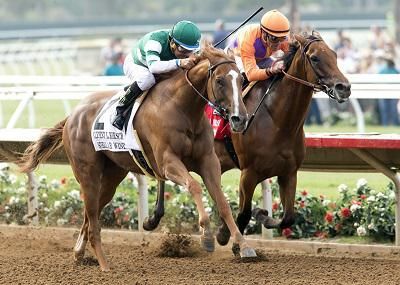 Stellar Wind ekes out Clement L. Hirsch victory over Beholde