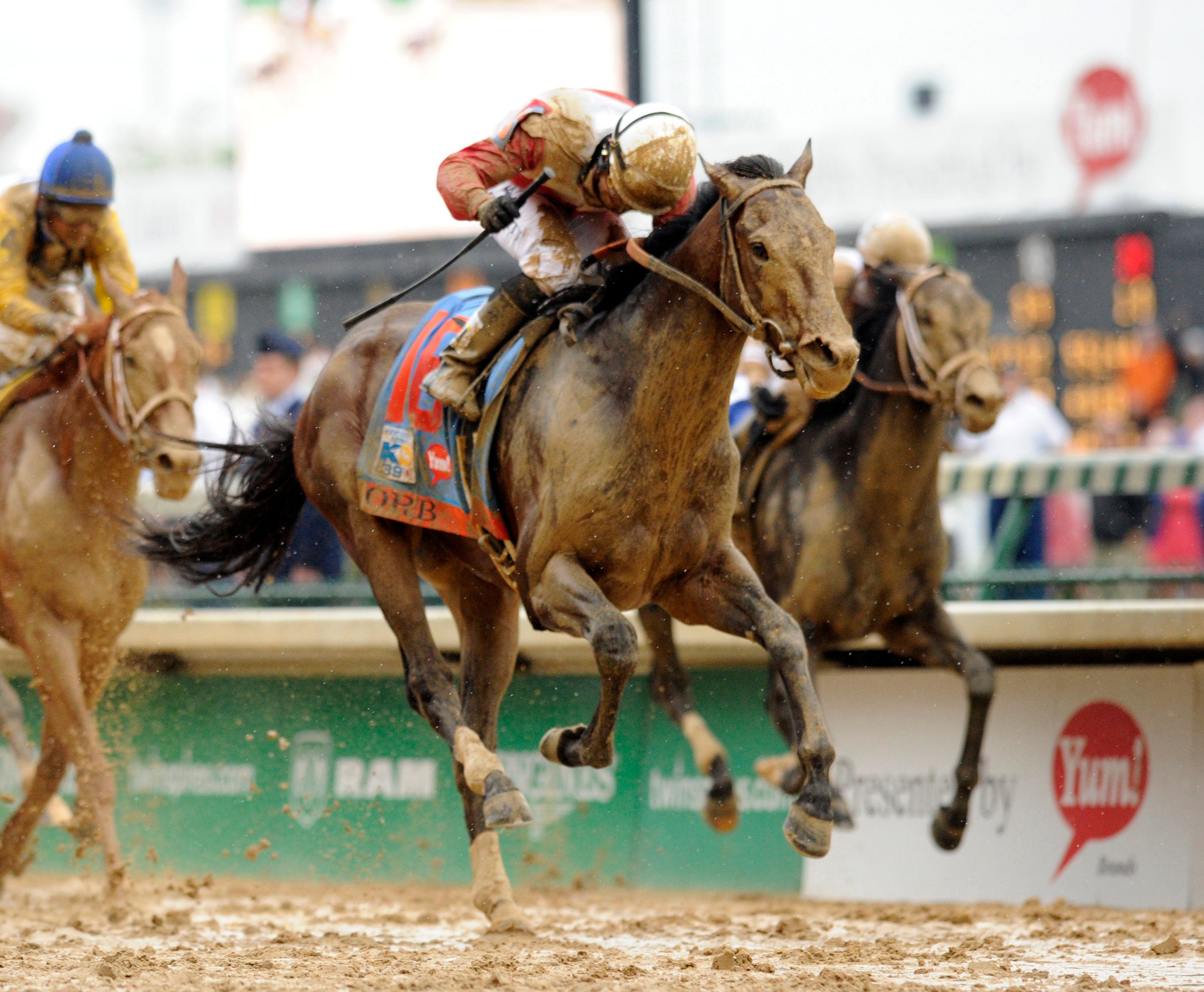 OWNER HORSE ★DEEP SKY Deep Sky | Horse Profile, Pedigree, Form, Race Record - netkeiba