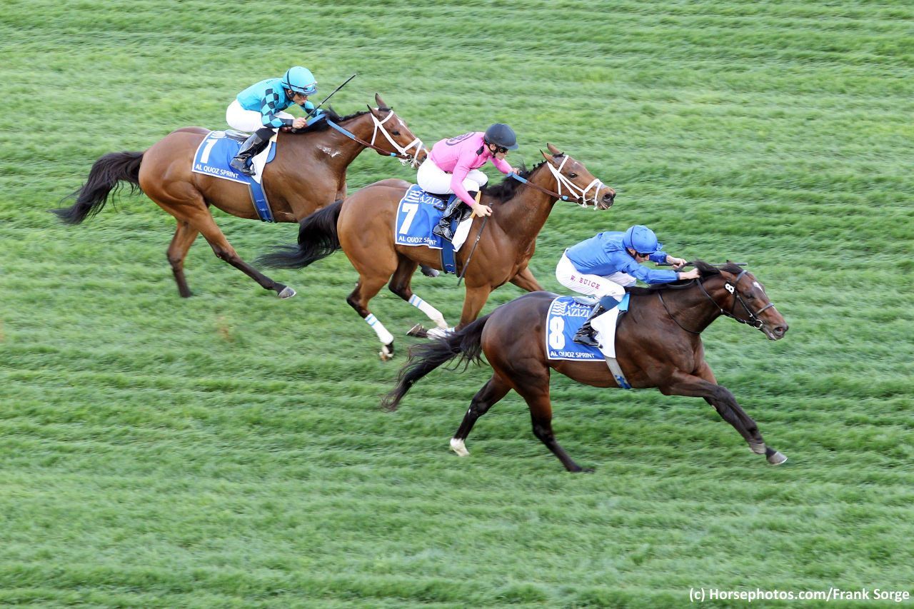 Breeders' Cup longshots that could spice up the exotics | TwinSpires