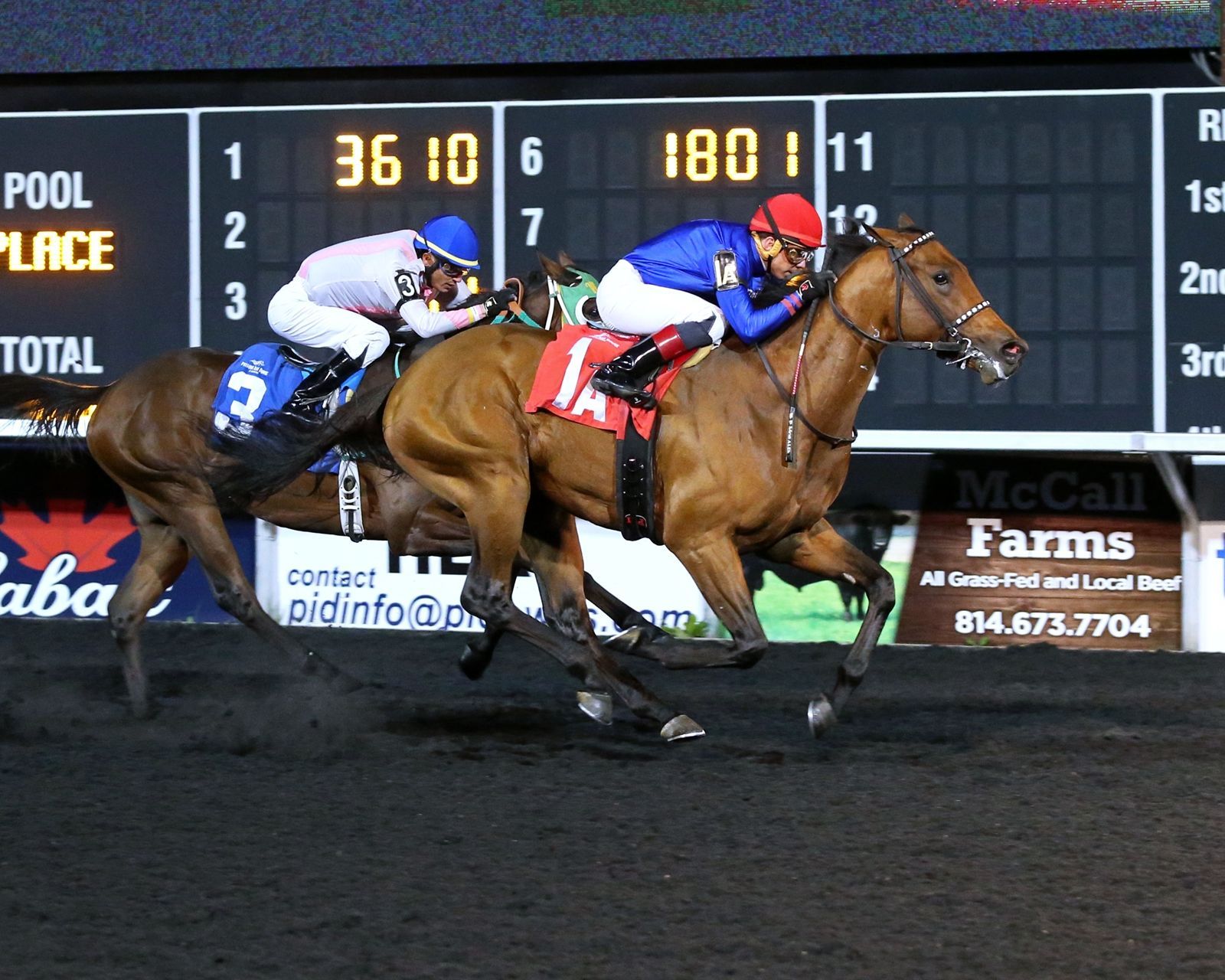 Japan's 19 contenders at the 2024 Breeders' Cup | TwinSpires