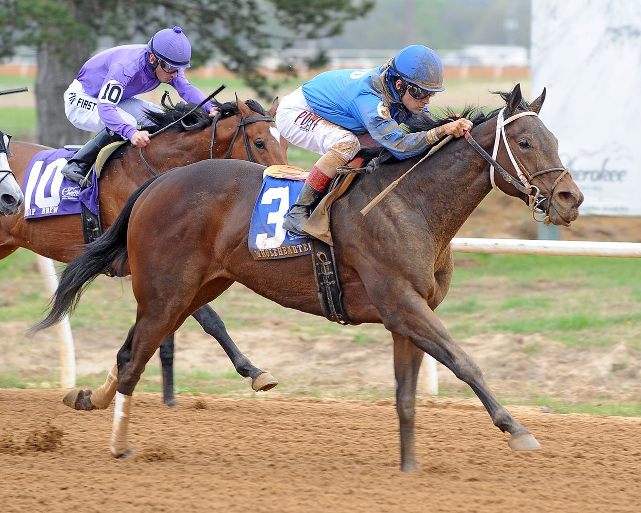 Thursday's Best Bets and Quick Picks: Mo Grey can win debut